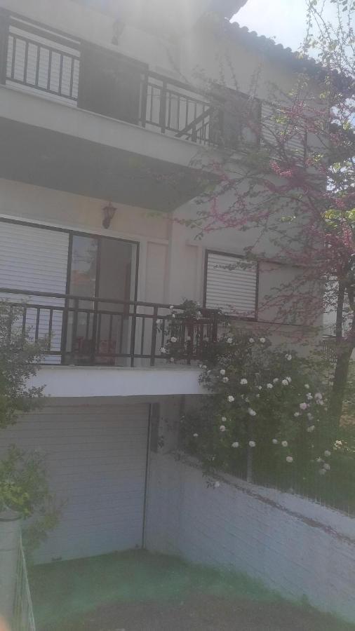 Apartmán Iris Pefkochori Pokoj fotografie